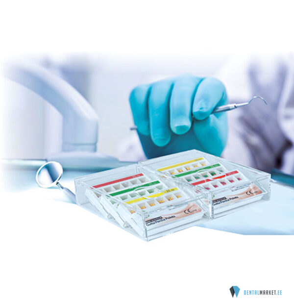 Endo-Station Go Gutta Box 2x6