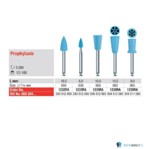 Prophylaxis RA