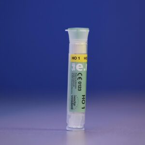 dentalmarket.lv-IPS-e.max-Press-HO1.jpg IPS e.max Press HO & MO